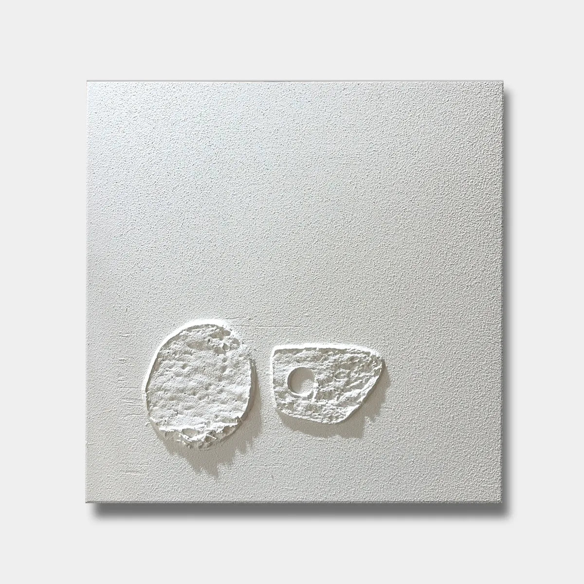 White Fossil Relief Print for Minimalist Living Room  YY#1502